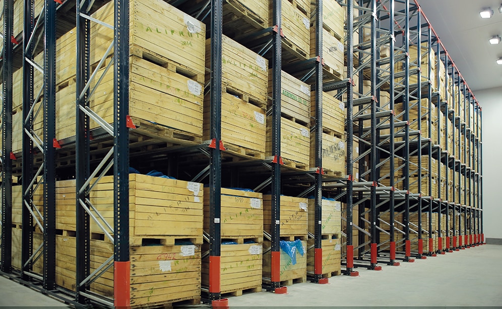 Alifrut a équipé sa chambre froide de quatre blocs de rayonnages à palettes par accumulation drive-in